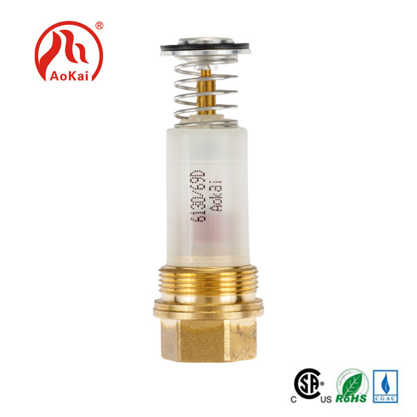 ʻO Gas Barbecue Thermocouple no ka mīkini home
