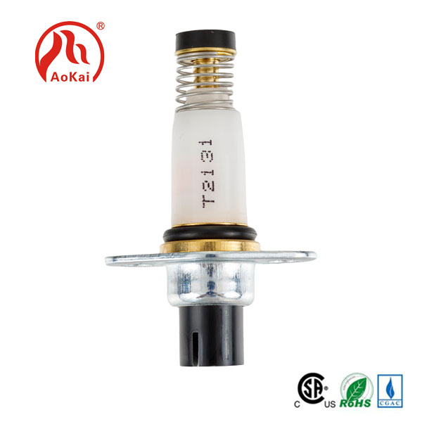 Palekana Palekana Magnet Control Valve Gas Magnet Valve